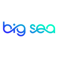 Big Sea