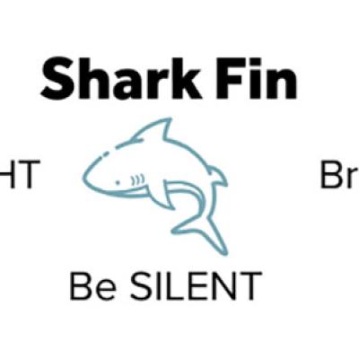 Shark Fin
