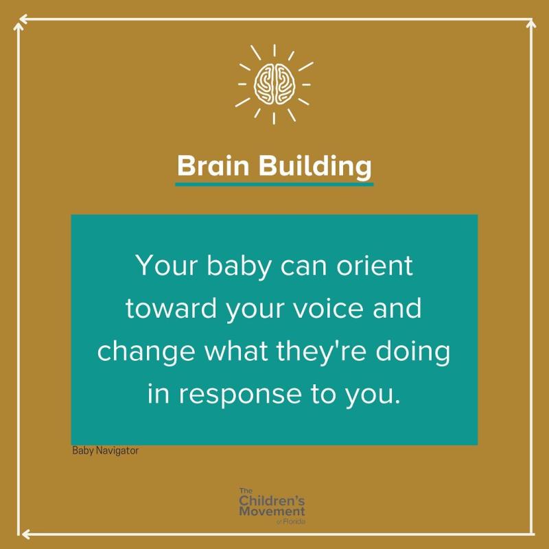 Your baby can orient toward your voice and change what they're doing in response to you.