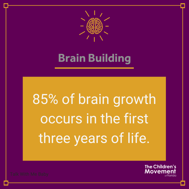 85% of brain growth occurs in the first three years of life.