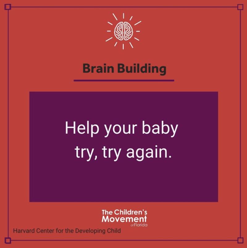 Help your baby try, try again. 