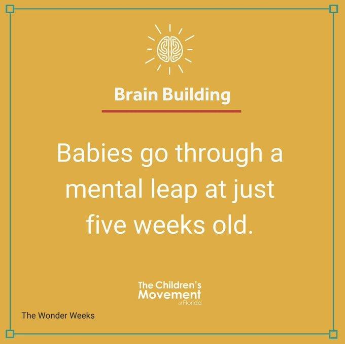 Your baby will start making sense of all the impressions that they've been busy absorbing these last few weeks.